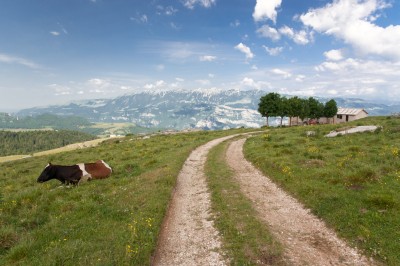 Italian Alps, South Tyrol